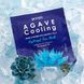 Маска Гідрогелева Освіжаюча Зволожуюча З Екстрактом Агави Petitfee Agave Cooling Hydrogel Face Mask 1 шт