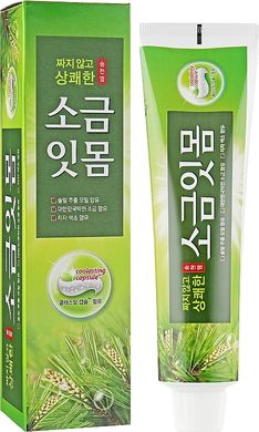 Зубная паста лечебная с экстрактом сосновых игл Median Pine Salt Toothpaste 120 ml