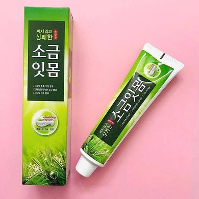 Зубная паста лечебная с экстрактом сосновых игл Median Pine Salt Toothpaste 120 ml