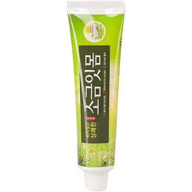 Зубная паста лечебная с экстрактом сосновых игл Median Pine Salt Toothpaste 120 ml