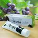 Зубная паста с аронией Hanil Arionia toothpaste