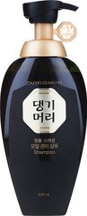 Шампунь проти випадання волосся Daeng Gi Meo Ri New Gold Special Shampoo 500ml