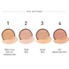 Тональний кушон для обличчя зі змінним блоком HOLIKA Hard Cover Perfect Cushion EX Set (02 Petal)