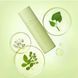Эссенция успокаивающая веганская Manyo Our Vegan Heartleaf Moisture Calming Essence 70 ml