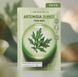 Маска для обличчя Bringgreen Global Fresh Mask Sheet Artemisia Calming EX 10 шт