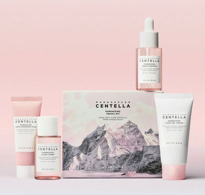 Набор миниатюрных уходовых средств SKIN1004 Madagascar Centella Poremizing Travel Kit