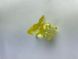 Заколка для волосся CHACOTT Hair Clip Crystal Yellow 4.5cm