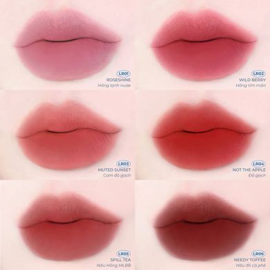 Тінт для губ Dearmay Lost Ribbon Blur Tint Lr04 Not The Apple 3.3г