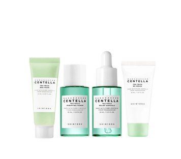 Набор миниатюрных уходовых средств SKIN1004 Madagascar Centella Tea-Trica Travel Kit