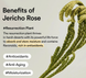 Колагеновий крем для очей Abib Collagen Eye Cr&egrave;me Jericho Rose Tube 30 мл