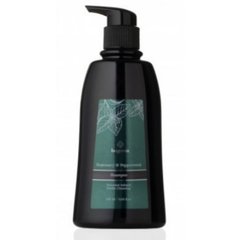 Шампунь для волос Bogenia Rosemary Peppermint Shampoo 350ml